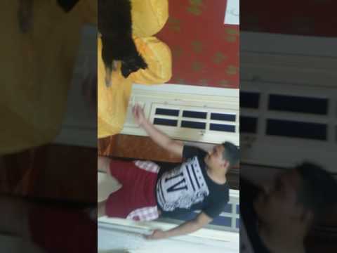 من احسن الجرمن في مصر شكس