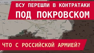 Download Lagu ЭФФЕКТ ДОБРОПОЛЬЯ: ВСУ перешли к контратакам под Покровском. Что с \ MP3 Download Lagu ЭФФЕКТ ДОБРОПОЛЬЯ: ВСУ перешли к контратакам под Покровском. Что с \ MP3