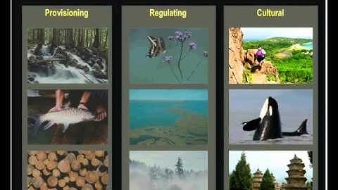 ESR2 0 Intro1 James Griffiths