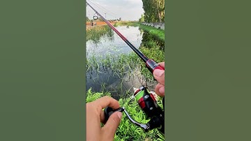 hàng khủng các bác ơi :)) #lure #caulure #cauca #giaothichcauca #giaoninhbinh #giaonb