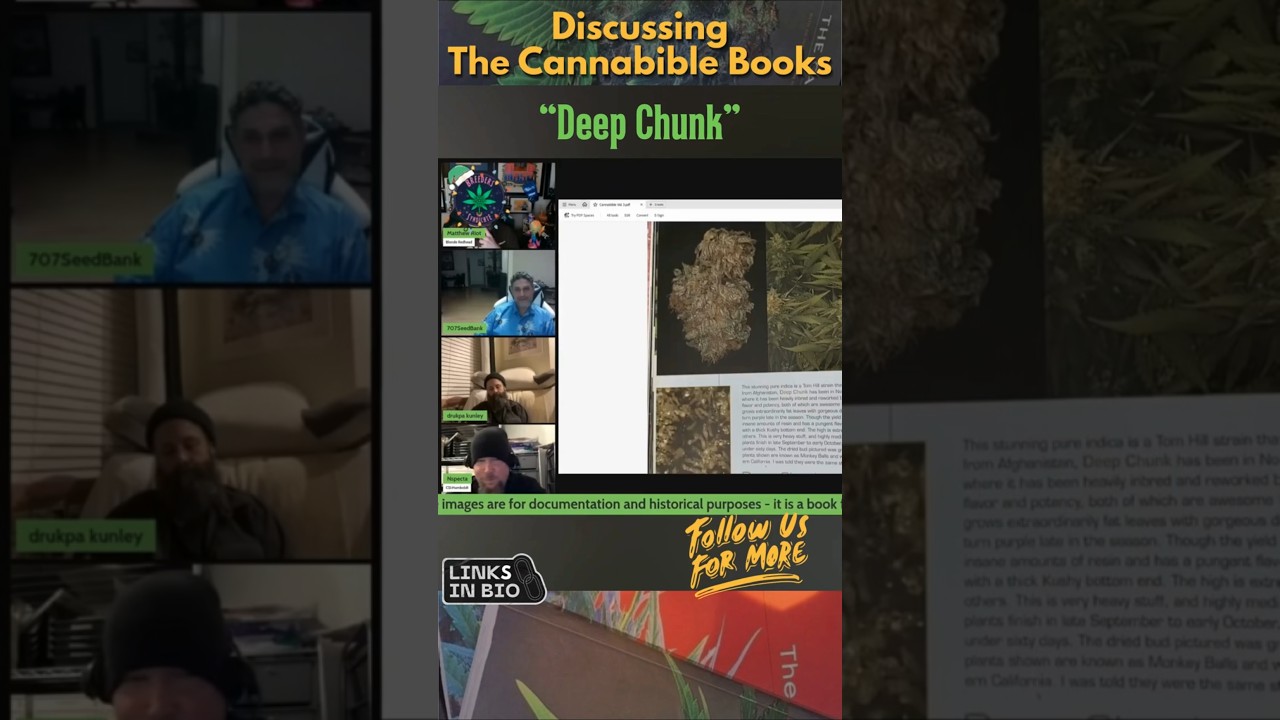 Deep Chunk! #strainhistory