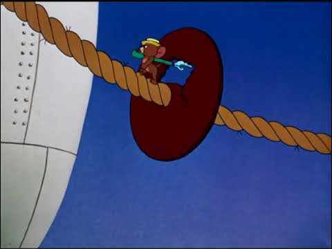 cruise cat 1952 part 1