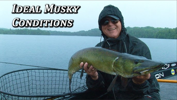 Musky! Landing Net 101 