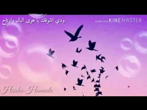 حالات واتس اب ودي اشوفك يا هوى البال تصميمي الوصف مهم