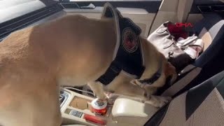 Jacktan Saklayamadılar