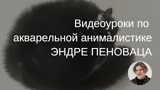 Видеоуроки Акварельная анималистика с Эндре Пеновацем. Приглашение Видеоуроки Акварельная анималистика с Эндре Пеновацем. Приглашение