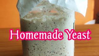 Homemade yeast for bread,bun,pizza #Homemadeyeast #yeastathome tamil #homemadeyeastintamil #yeast