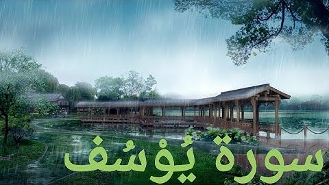 سُورَة يُوسُفْ هي سُّورَة مكَّية بالإجماع آياتها[111]سميت بهذا الاسم لأنَّها تناولت قصّة النبي يوسف
