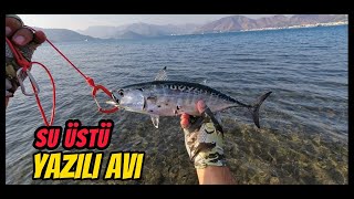 BALIK AVI . Su Üstü Popper ile Yazılı Orkinos Avı #lrf #lrfavı #balıkavı #balıkavıvideoları [ 4K ]