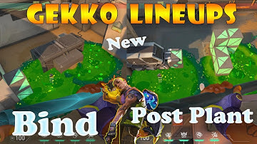 New Top 15 Bind Gekko Post Plant Lineups | Gekko Lineups Bind | Gekko Mosh Pit (Molly) Bind