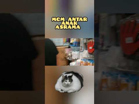 Hotel kucing |
