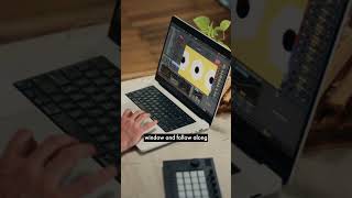 Live 12.4 is out now. #abletonlive #musicproducer
