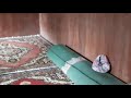 Мечеть в с. Сантлада
