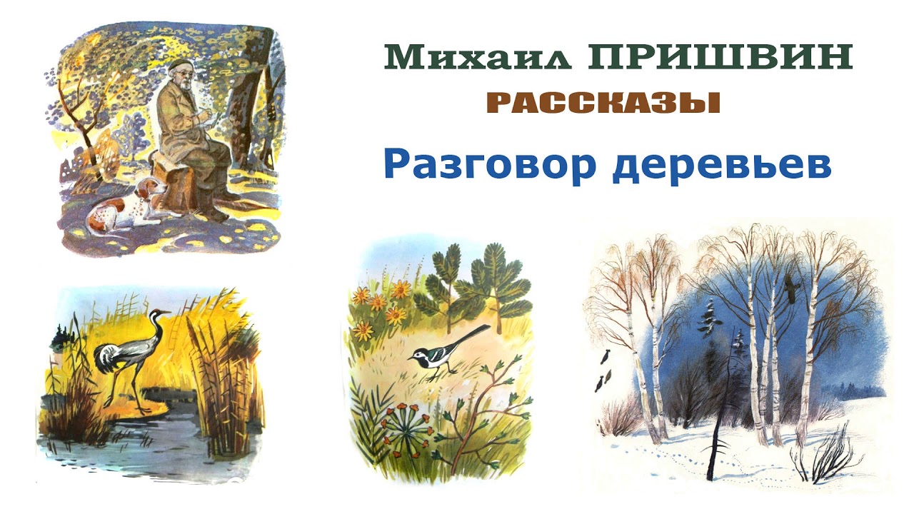 М.Пришвин "Разговор деревьев" - Рассказы Пришвина - Слушать - YouTube