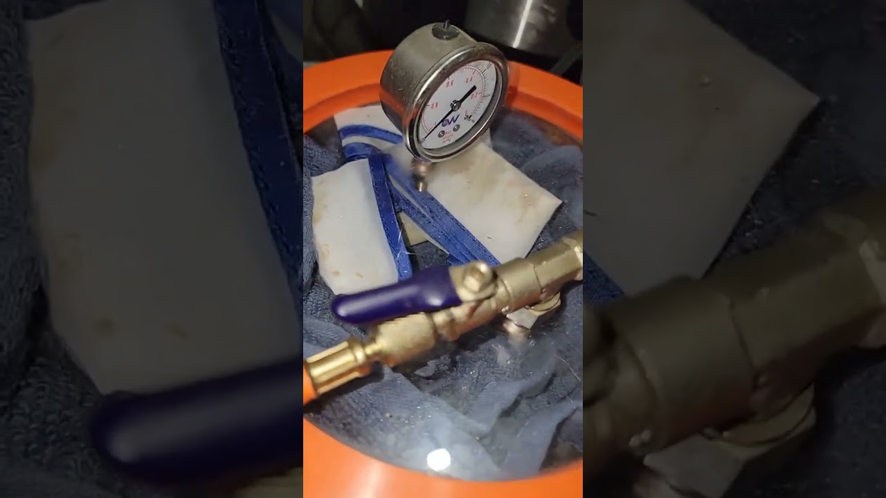 making live hash rosin with no freeze dryer 