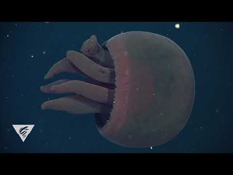 Weird and Wonderful: Otherworldly giant, red jellyfish swims into our minds