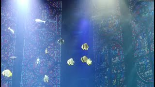 Moonatics - Could Never Be Heaven