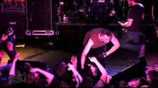 Watch Dwarves Everybodys Girl video