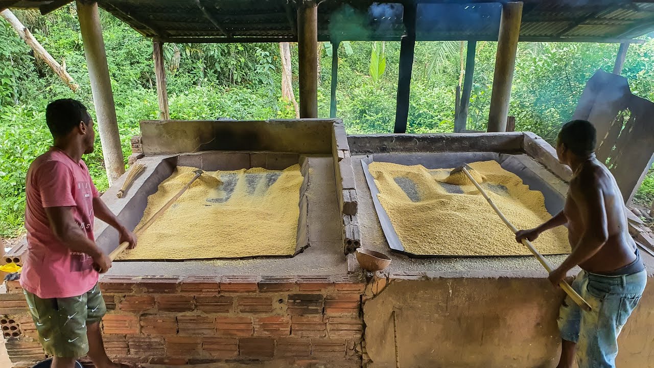 Fazendo farinha de puba ou farinha d'água (passo a passo)