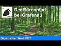 Bayerischer Wald - Unterwegs auf dem Bärenpfad bei Grafenau