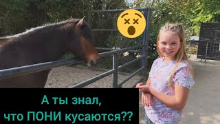 Какой Зоопарк в Гамбурге??