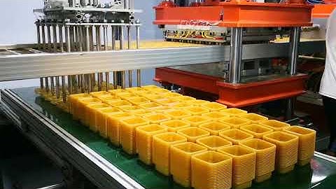 3 working station(pressure vacuum forming -inline cutting - stacking)