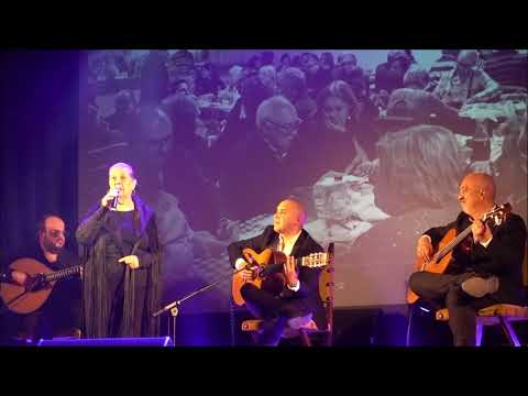 Maria Amélia Proença