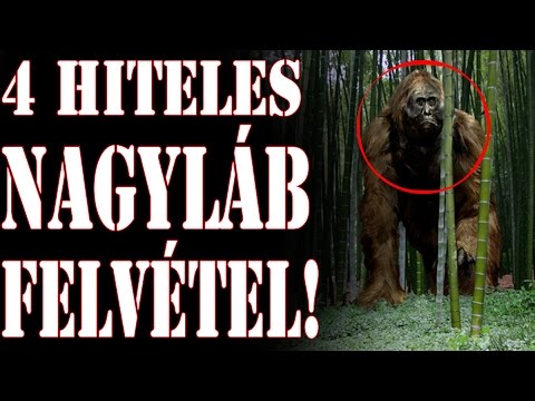 Videó: A Kriptozoológusok A Bigfoot - Alternatív Nézet