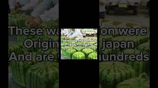 Square watermelons