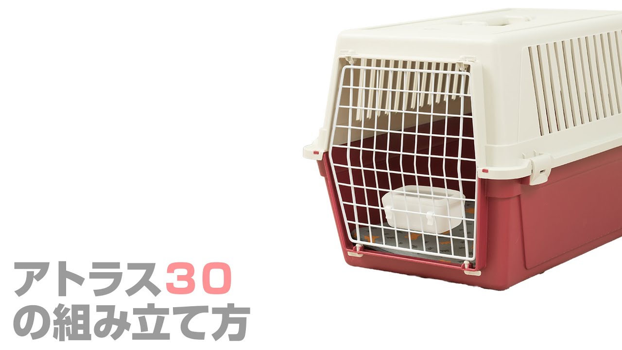 ペットキャリー｜アトラス ３０ 15kgまで対応 中型犬用｜ドックフードの通販・帝塚山ハウンドカム