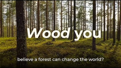 Grow the Solution - Would you believe a forest can change the world?