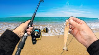 Fishing with LIVE SHRIMP at the Beach! (Catch and Cook)