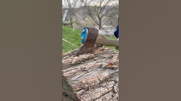This Guy Repairs an Axe Handle Like a Pro #shorts #diy #tips #tricks #gardening #tools #lifehacks
