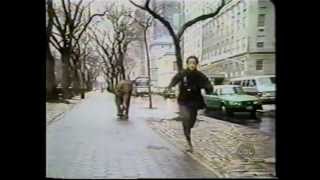 Celebrity Ethel is an Elephant (Unsold TV Pilot) Net Worth