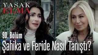 Şahika ve Feride nasıl tanıştı? - Yasak Elma 90. Bölüm