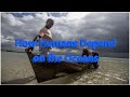 The Ocean's Impact On Human Life And Environmental Responsibility