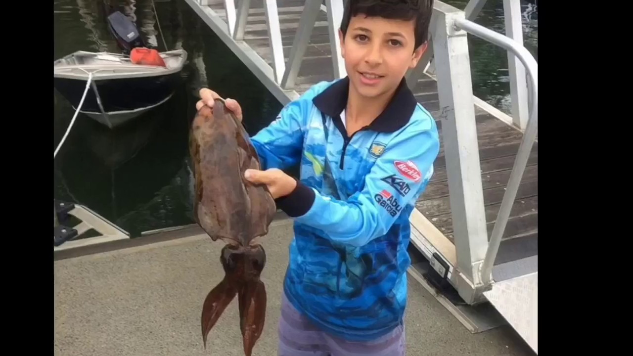 Squid catch n cook+flathead (Sydney/northern beaches)