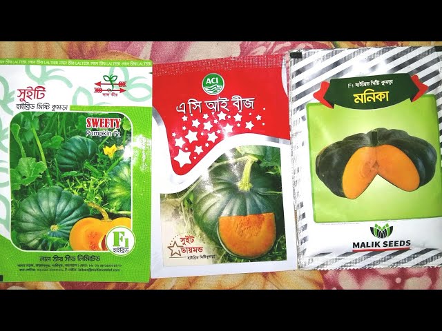 Порно актермен сұхбат