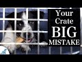 The BIGGEST Mistake People Make With Crate Training A Puppy