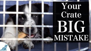 caesar millan crate training