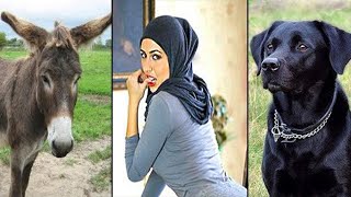 Bir Eşek, Bir Kadın Ve Siyah Bir Köpeğin Arasındaki İlişkiyi Biliyor Musunuz? İlk Kez Duyacaksınız