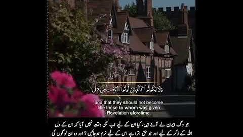 Quranic Ayat | Quranic verses | Quran ayat | Quran verses | Ayat status(1)