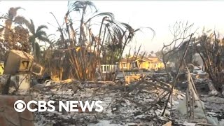 Dozens dead in Maui as firefighters try to contain Hawaiian wildfires