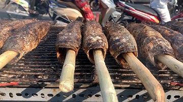 Phố cá lóc nướng đường Tân Kỳ Tân Quý tại Sài Gòn -TP HCM