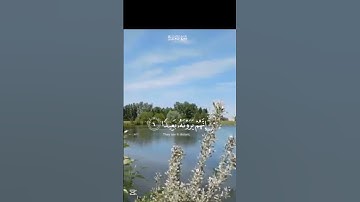 فاصبر صبرا جميلا (سوره المعارج) #اسلام_صبحي #كرومات_قرآن #قرأن #عبدالرحمن_مسعد