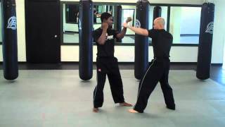 Celebrity Blocking drill: jab,reverse punch and ridgehand Profile