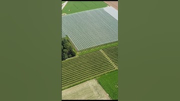 Building a hailnet system!