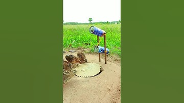 Simple Method Bird Trap - Quail Trap #Creative bird trap #shorts