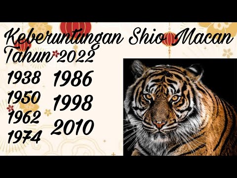 Video: Adakah 1998 tahun Harimau?