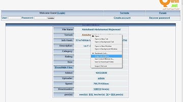 rTorrent Add Torrent with 2 ways and use FTP